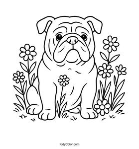 Bulldog