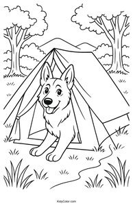 German Shepherd