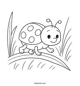 Ladybugs