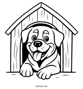 Rottweiler