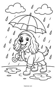 Cocker Spaniel