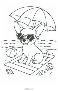 Chihuahua