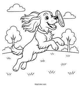 Cocker Spaniel