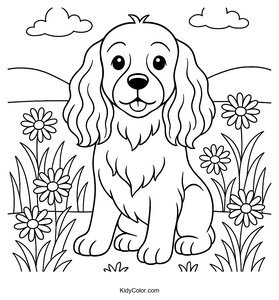 Cocker Spaniel