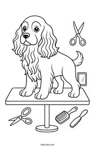 Cocker Spaniel
