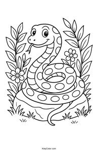 Snakes