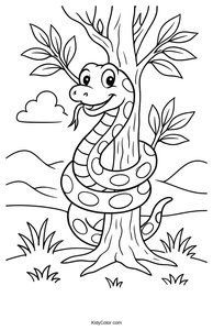 Snakes