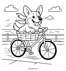 Corgi