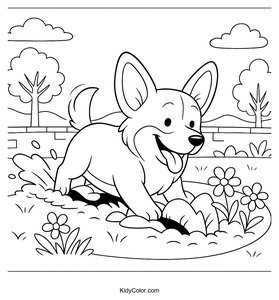 Corgi