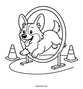 Corgi