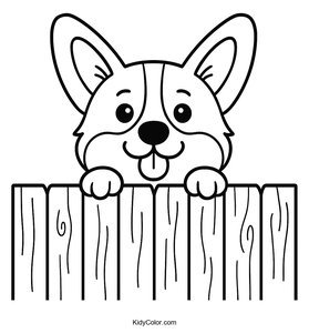 Corgi