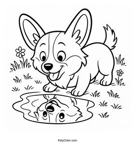Corgi