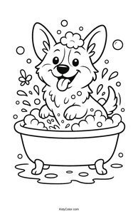 Corgi