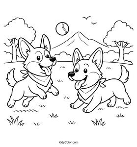 Corgi