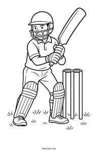 Cricket