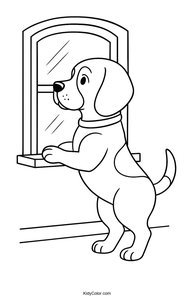 Beagle