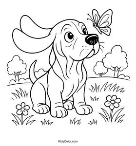 Basset Hound