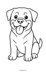 Rottweiler