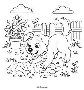 Dogs