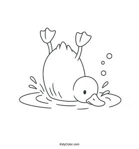 Ducks