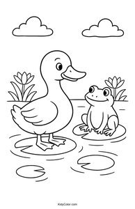 Ducks