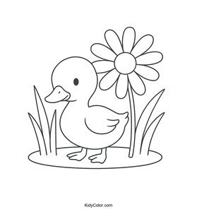 Ducks