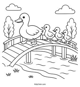 Ducks