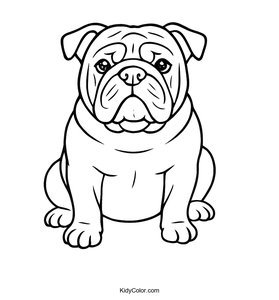 Bulldog