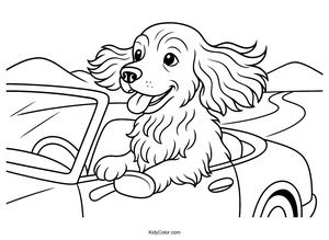 Cocker Spaniel