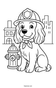 Cocker Spaniel