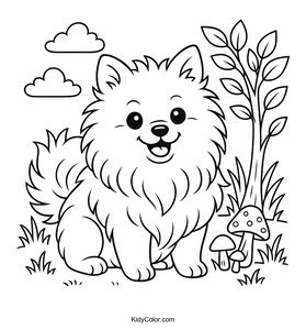 Pomeranian