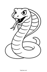 Snakes