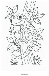 Geckos