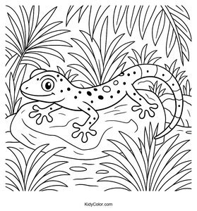 Geckos
