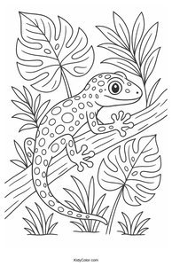 Geckos