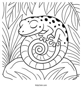 Geckos