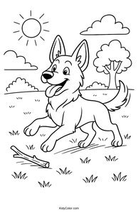 German Shepherd