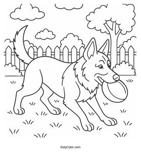 German Shepherd