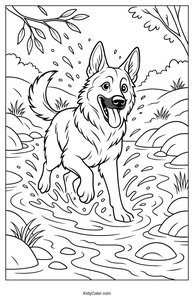 German Shepherd