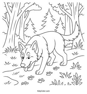 German Shepherd