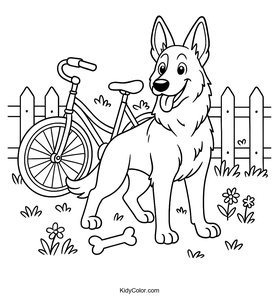 German Shepherd