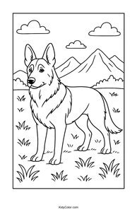 German Shepherd