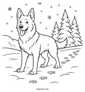 German Shepherd