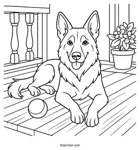 German Shepherd