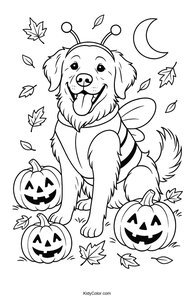 Golden Retriever