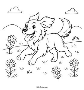 Golden Retriever