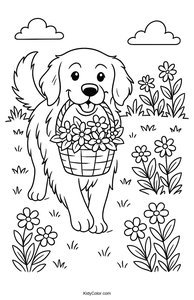 Golden Retriever