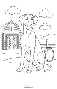 Great Dane