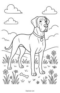 Great Dane