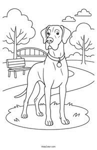 Great Dane